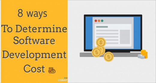 software development costs
